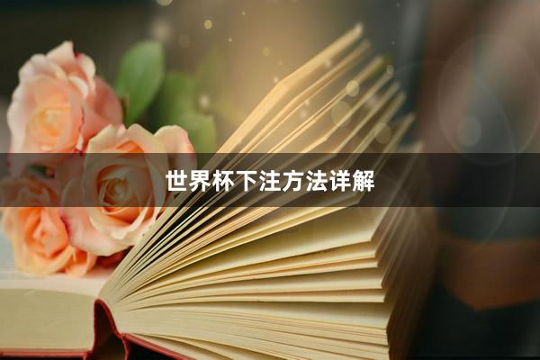 世界杯下注方法详解