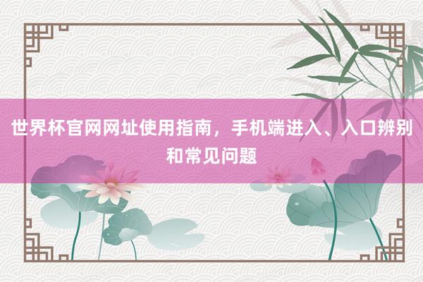 世界杯官网网址使用指南，手机端进入、入口辨别和常见问题